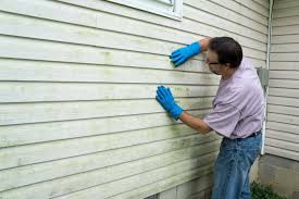 Best Storm Damage Siding Repair  in Orfordville, WI